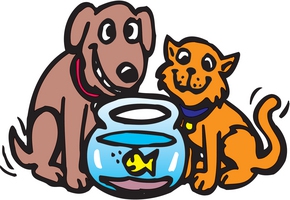 Dealing with pets in your For Sale home