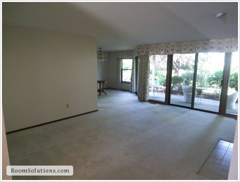 Home Staging (before photo)
