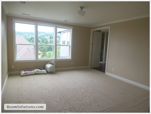 Home Staging (before photo)