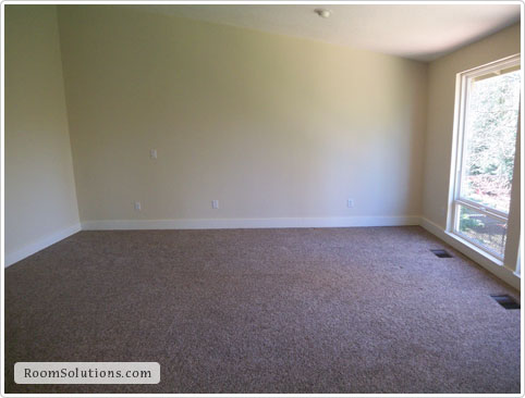 Home Staging (before photo)
