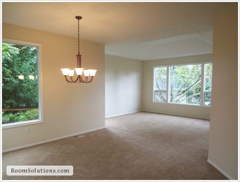 Home Staging (before photo)