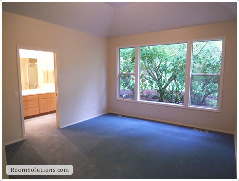 Home Staging (before photo)