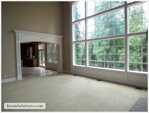 Home Staging (before photo)