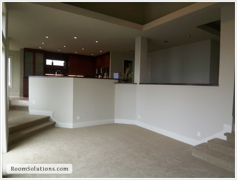 Home Staging (before photo)
